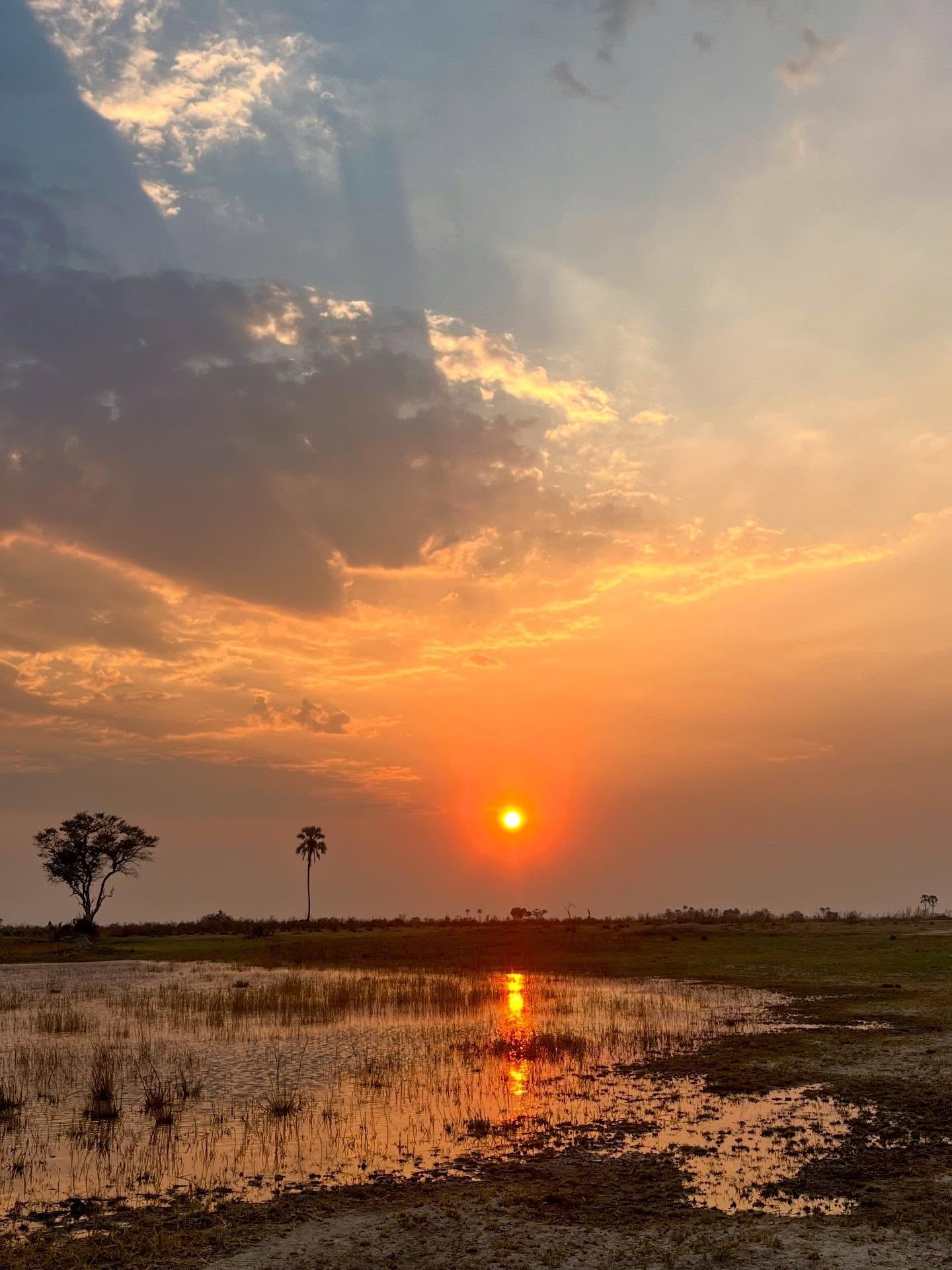 Vue de Delta de l'Okavango