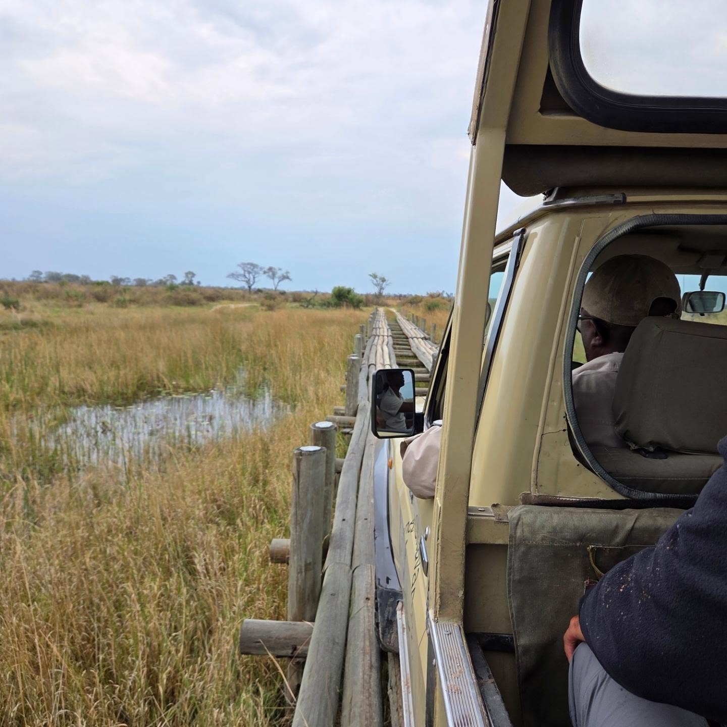 Photo d'un visiteur lors d'un circuit à Delta de l'Okavango