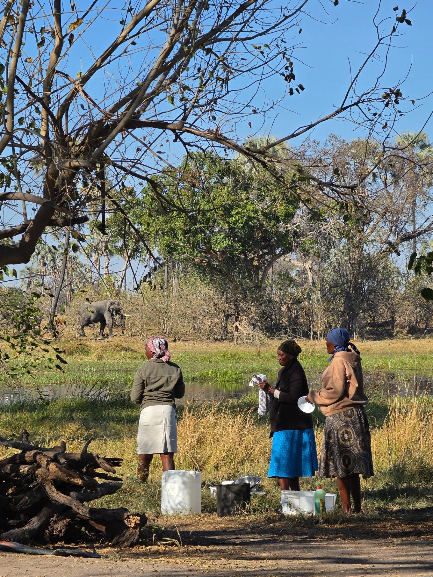 Photo d'un visiteur lors d'un circuit à Delta de l'Okavango