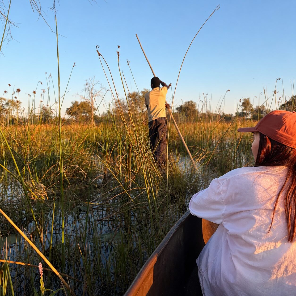 Photo d'un visiteur lors d'un circuit à Delta de l'Okavango