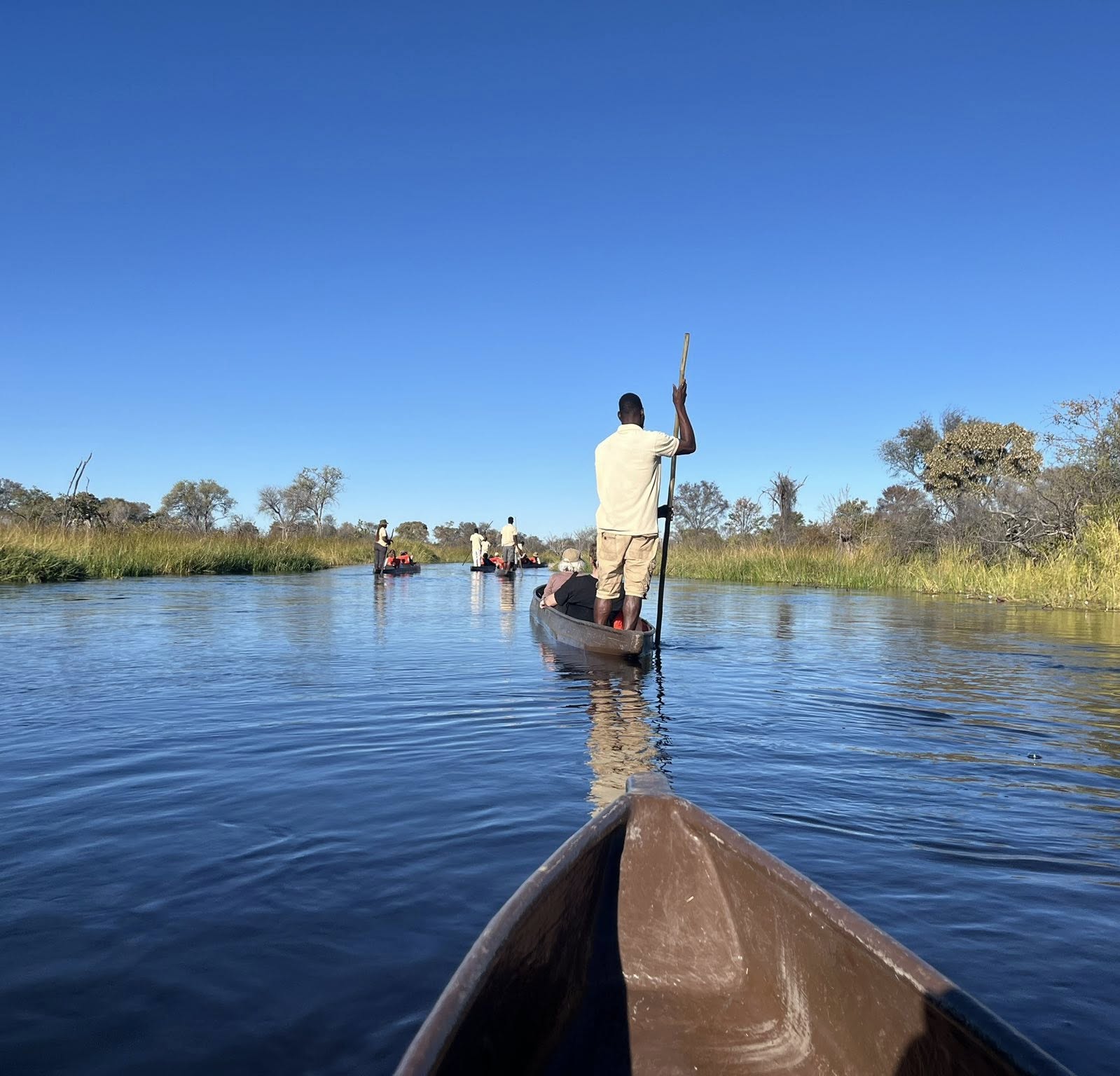 Photo d'un visiteur lors d'un circuit à Delta de l'Okavango